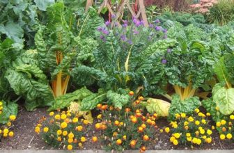 Garden Planting Guide Printable