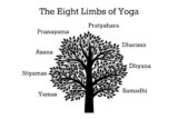 The Eight Limbs of Yoga: What They Mean and How to Apply Them
