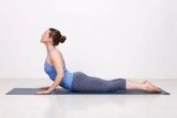Yoga for Spine Health: Essential Poses for Alignment